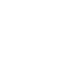 Financial-icn-w